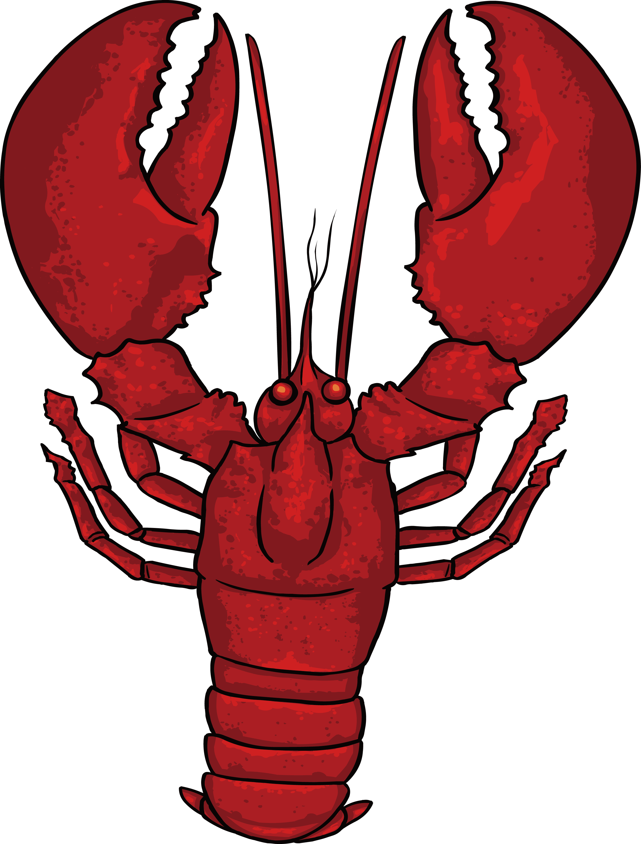 Crayfish Topview Illustration