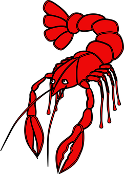 A Red Lobster With Black Background