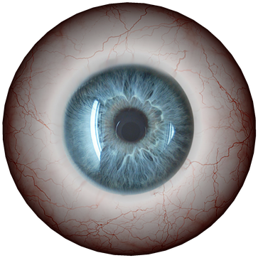 A Close Up Of A Blue Eyeball