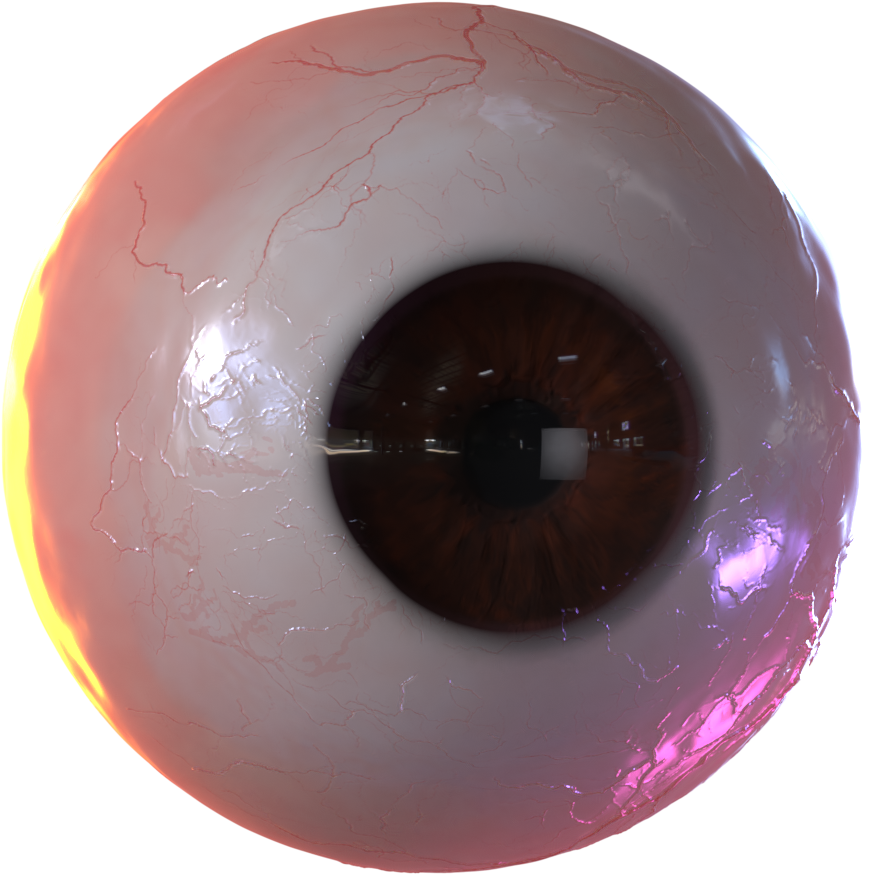 A Close Up Of A Human Eye