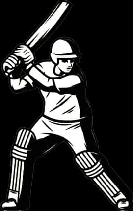 Cricket Images Illustration