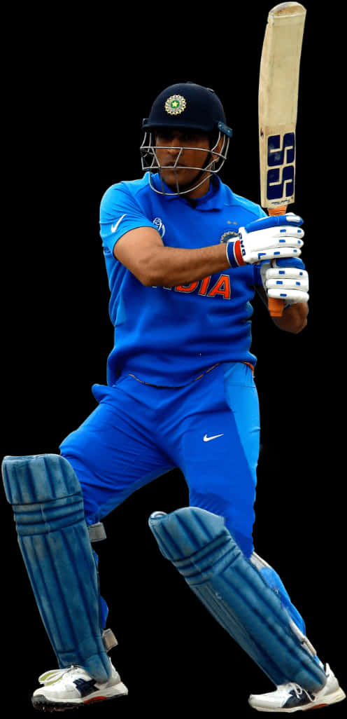 Cricket Images Blue