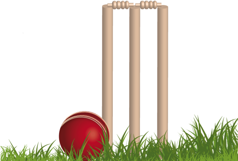 A Red Ball And Four Wooden Stumps In Grass