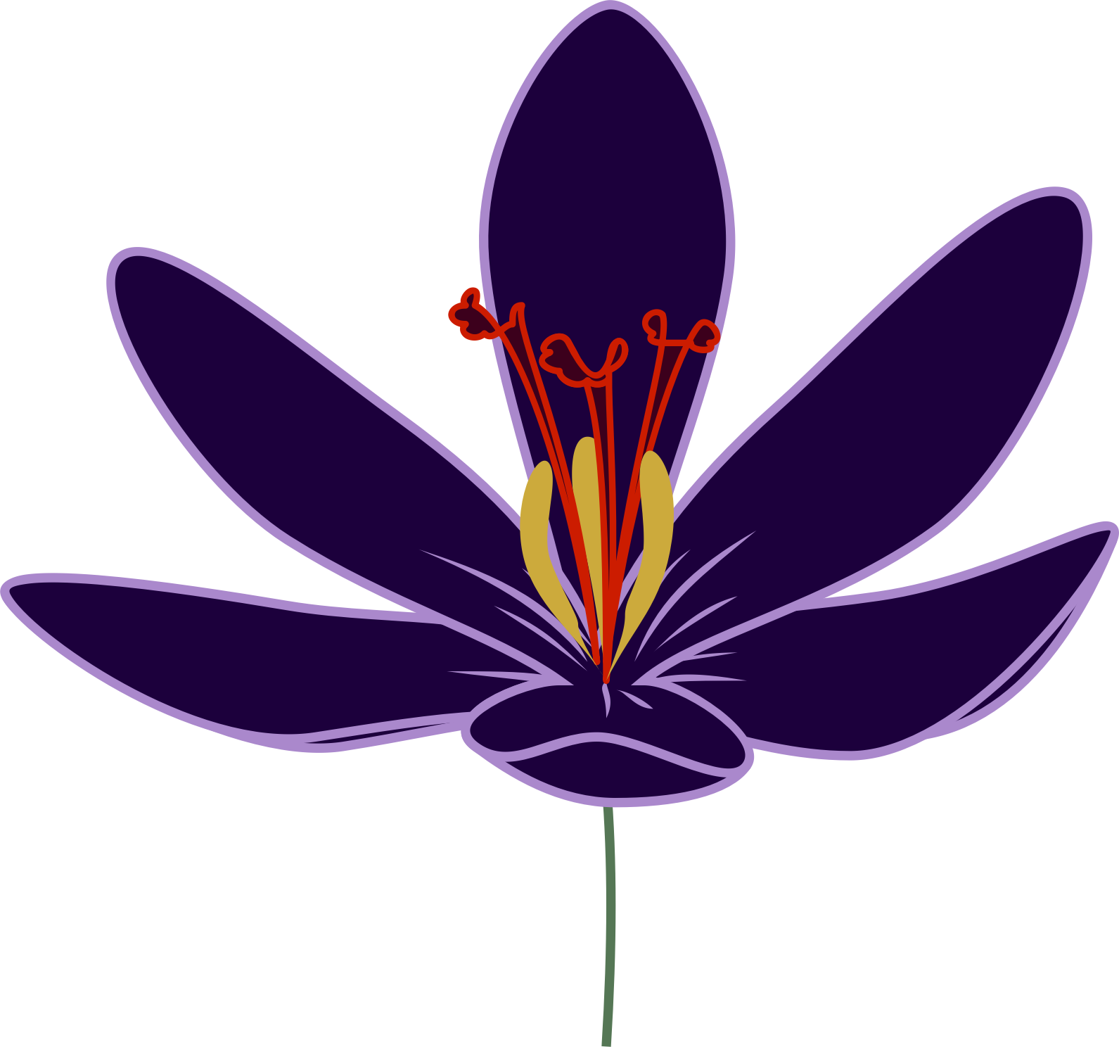 A Purple Flower With Yellow Stamens