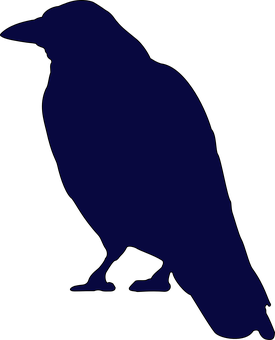 Crow Png 275 X 340