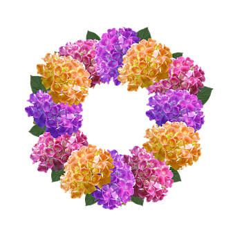 Flower Crown Hydrangea