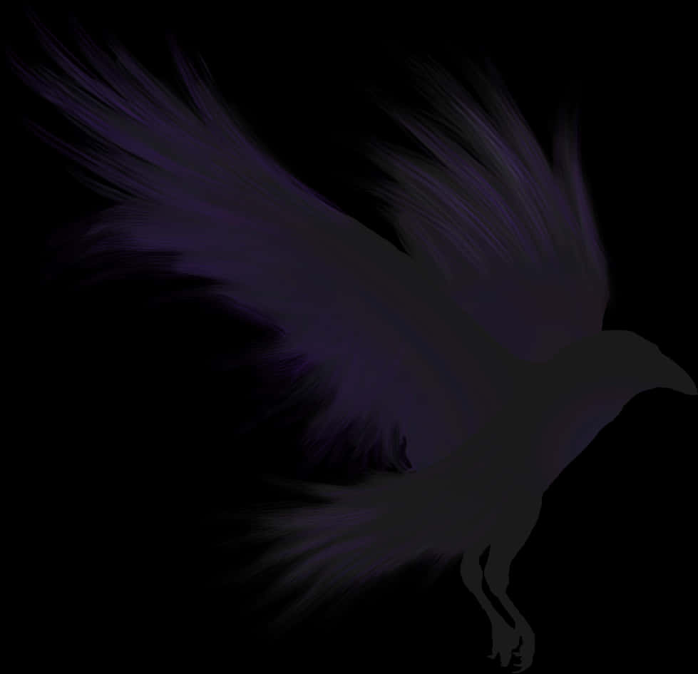 Crows Shadow Emblem - Crow Png, Transparent Png