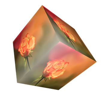 A Cube With Roses On It