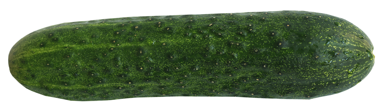 A Close-up Of A Cucumber