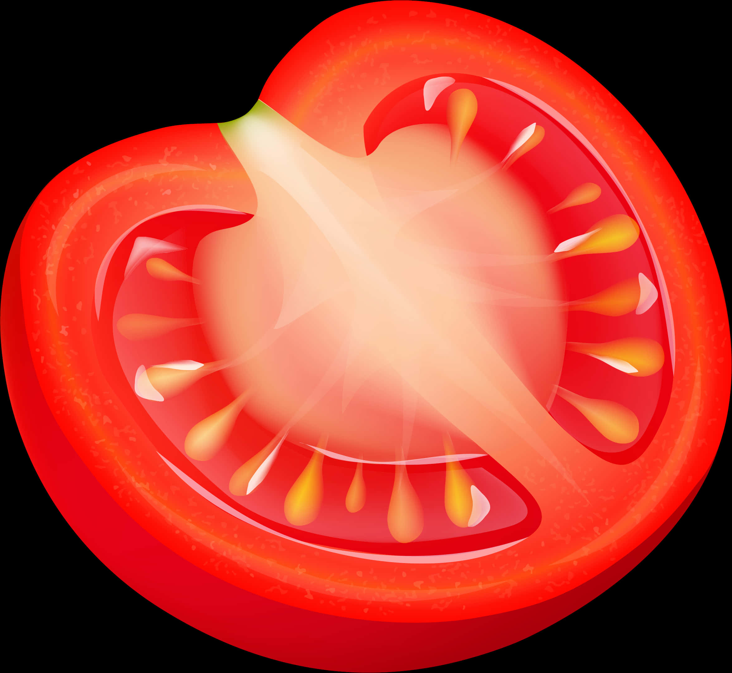 Cut Tomato Clip Art
