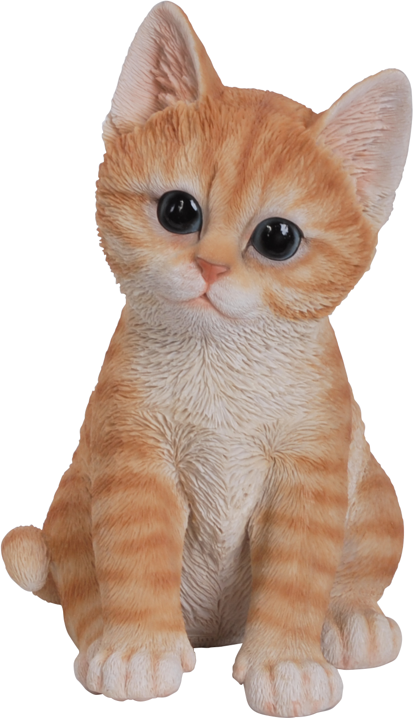 Cute Cats Png - Cute Cats In Png, Transparent Png