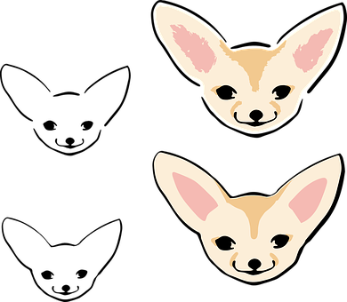 A Couple Of White And Tan Dogs With Large Ears