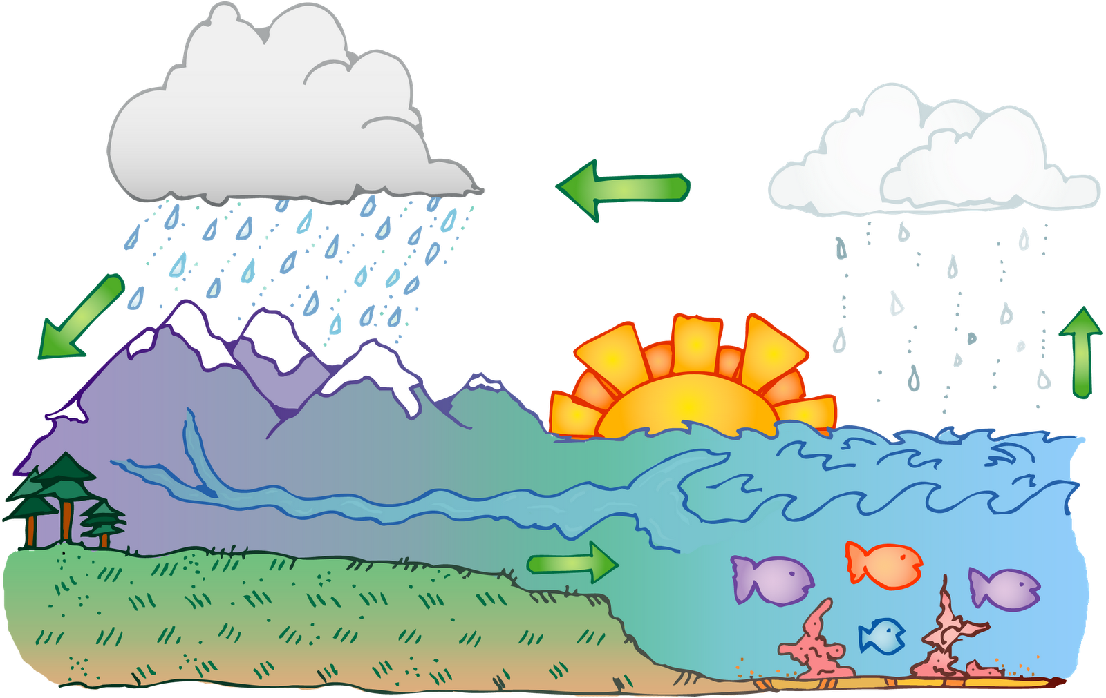 A Cartoon Of Water Cycle