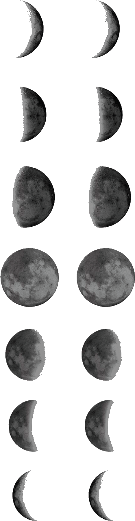 A Group Of Images Of The Moon