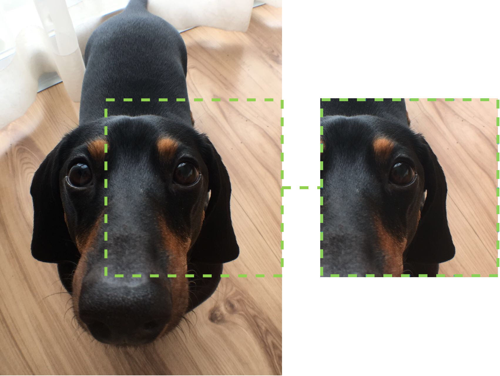 Dachshund, Hd Png Download