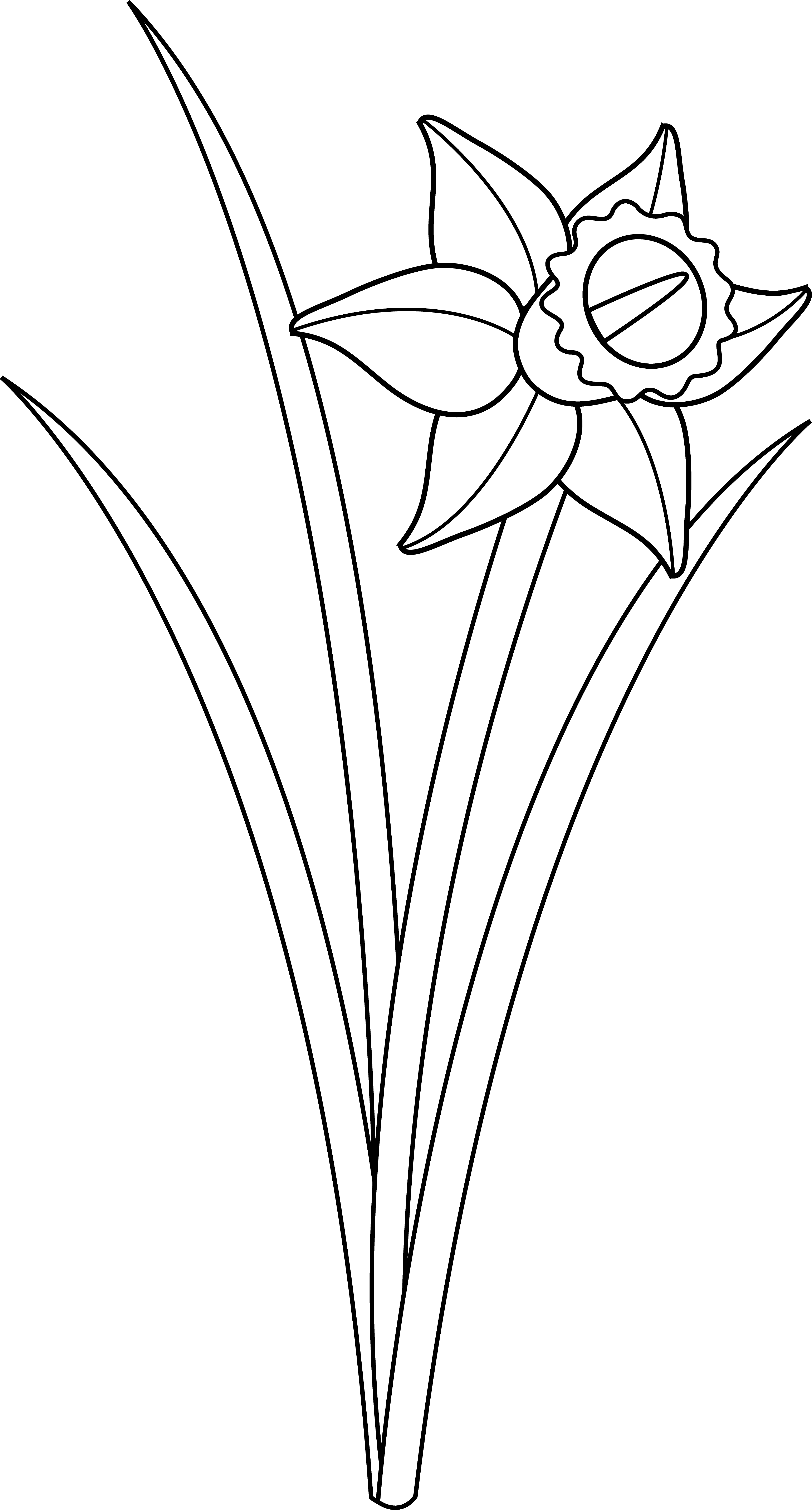 A Black And White Drawing Of A Flower