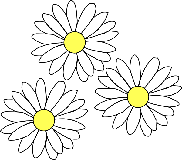 A Group Of White Flowers With Yellow Center