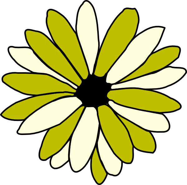 A Yellow And White Flower