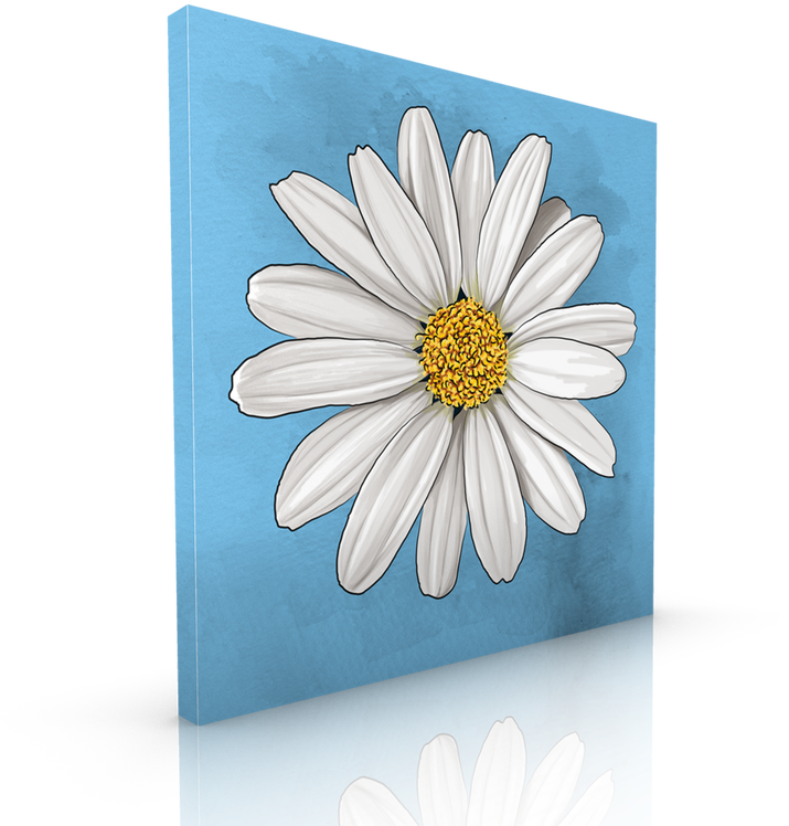 A White Flower On A Blue Background