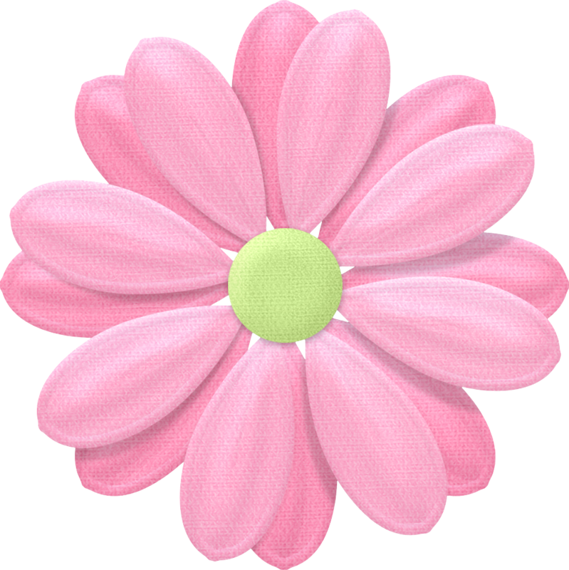 A Pink Flower With A Green Center