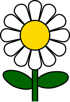 A Flower With A Yellow Circle