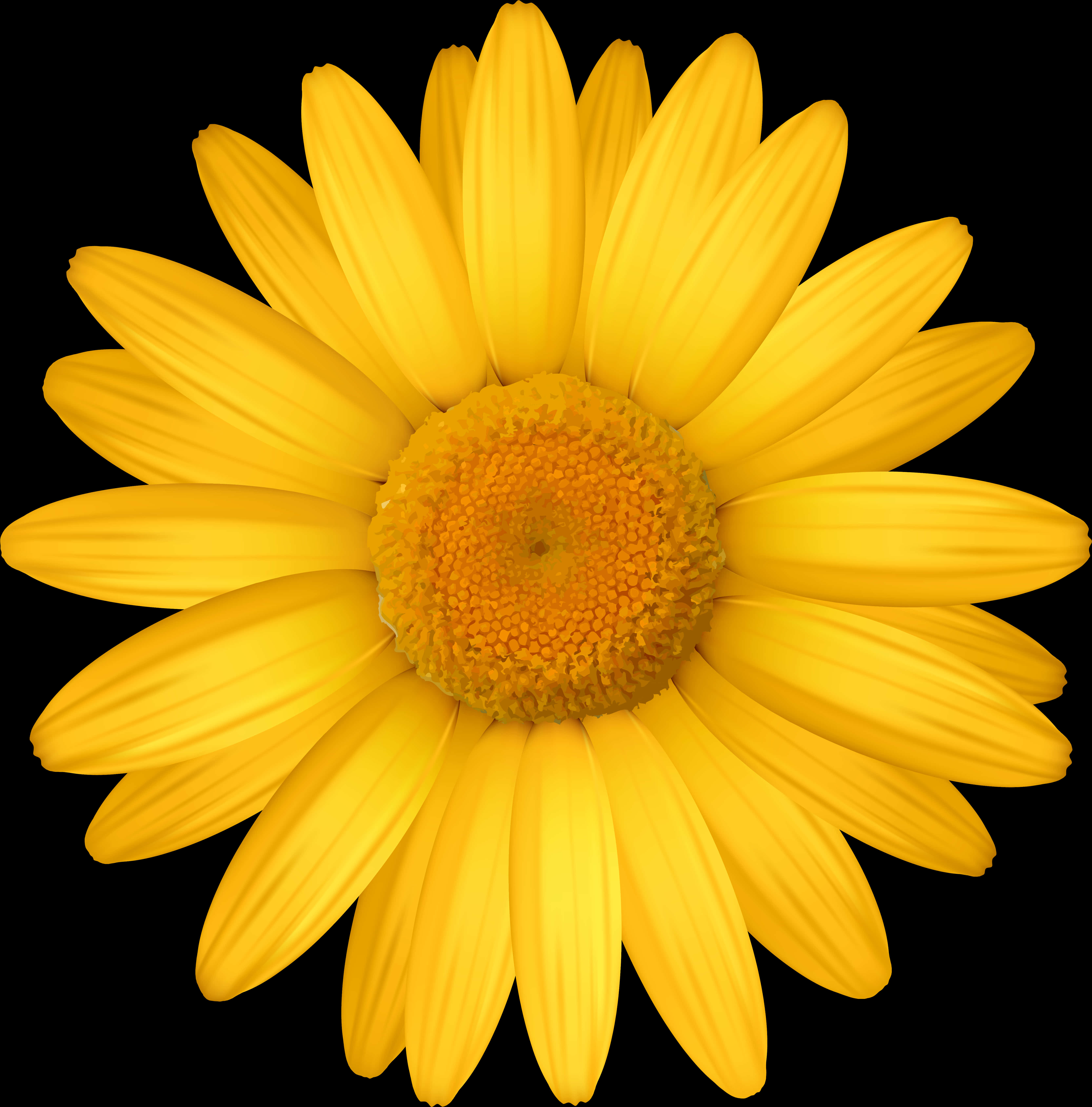 A Yellow Flower With Petals