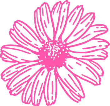 A Pink Flower On A Black Background