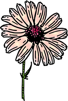 A Flower With A Pink Center