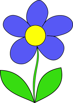 A Blue Flower With A Yellow Center
