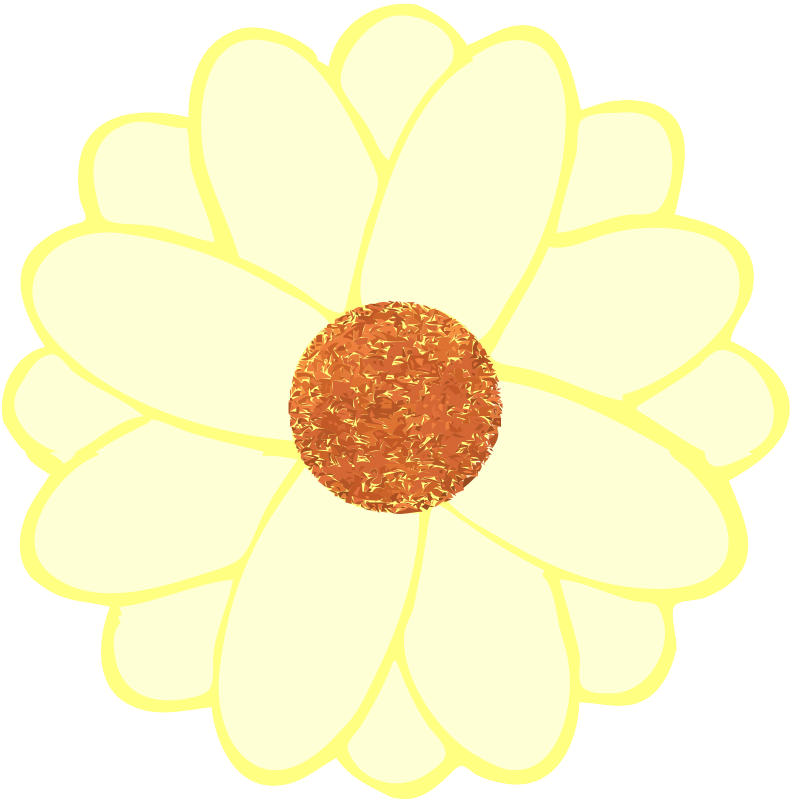 A Yellow And White Flower