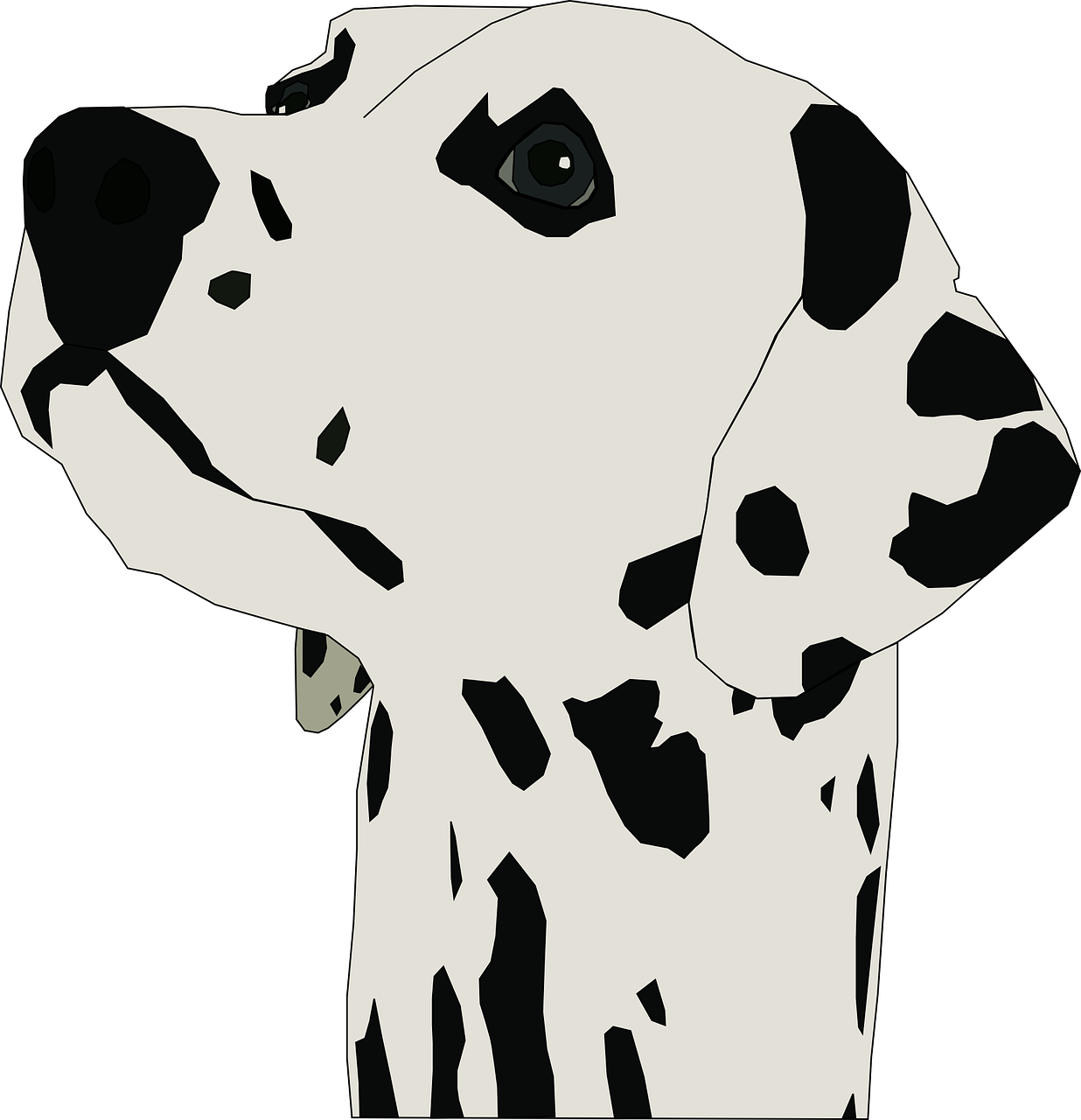 A Dog With Black Spots