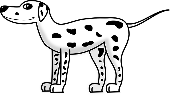 A Black And White Dog