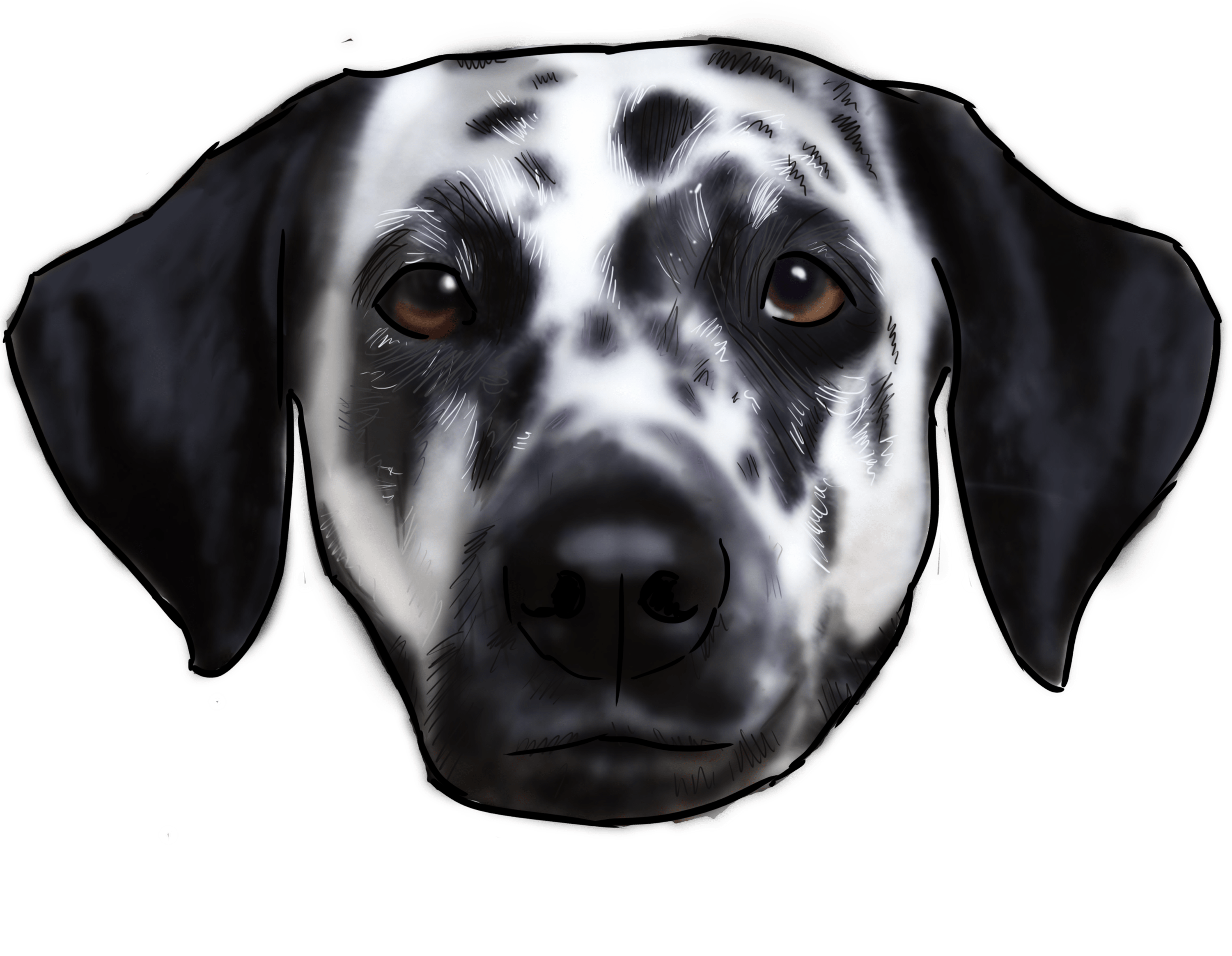 A Dog With Black Spots
