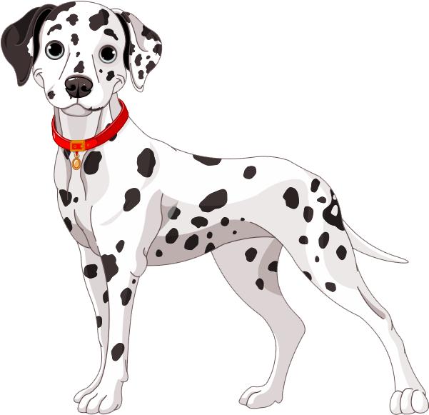 A Dog With Black Spots And A Red Collar