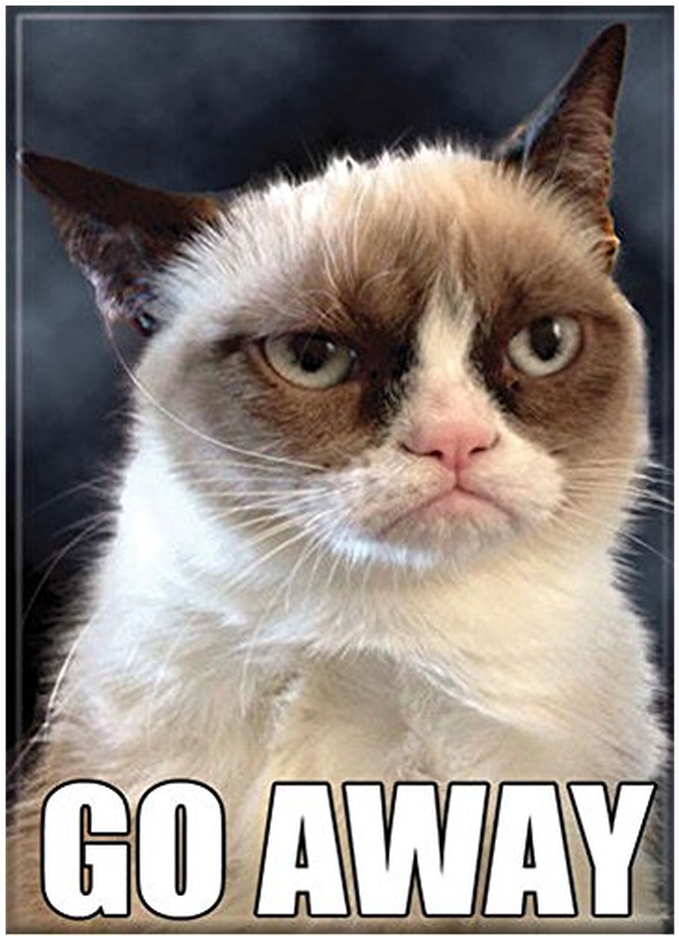 Go Away Grumpy Cat Meme