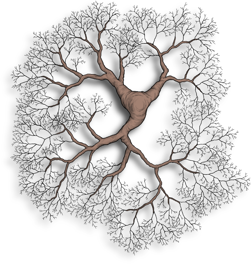 A Tree With A Black Background