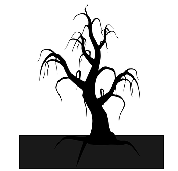 A Silhouette Of A Tree