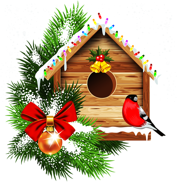 A Birdhouse With A Red Bow And Pine Branches