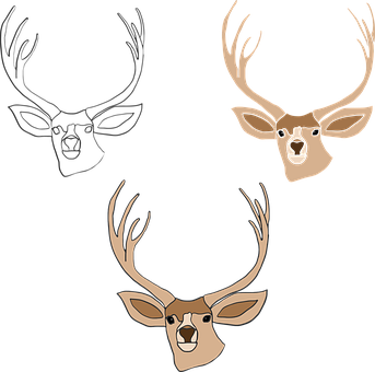 A Group Of Deer With Antlers