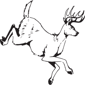 A Black And White Drawing Of A Deer