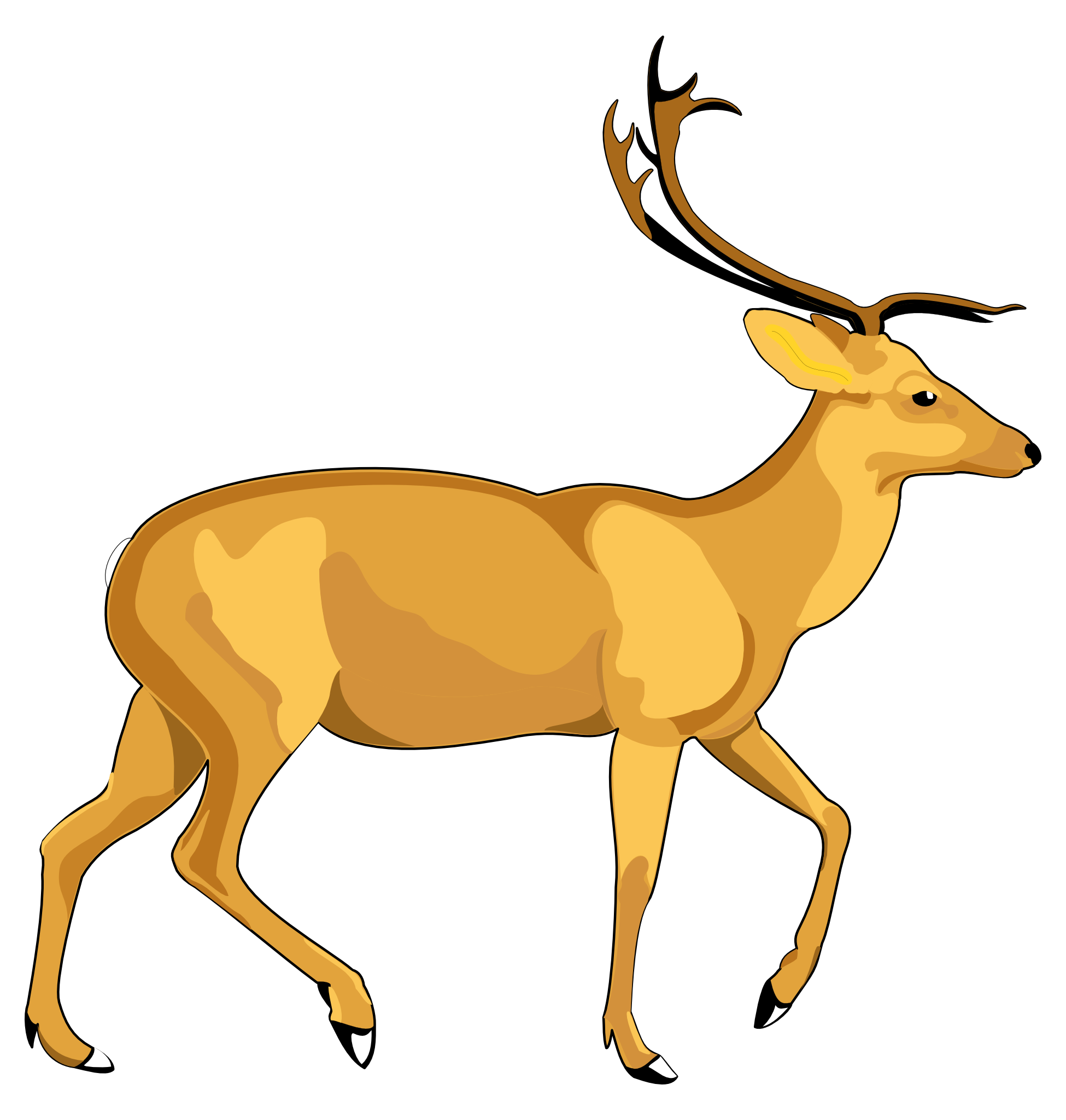 Deer Png 1950 X 2050