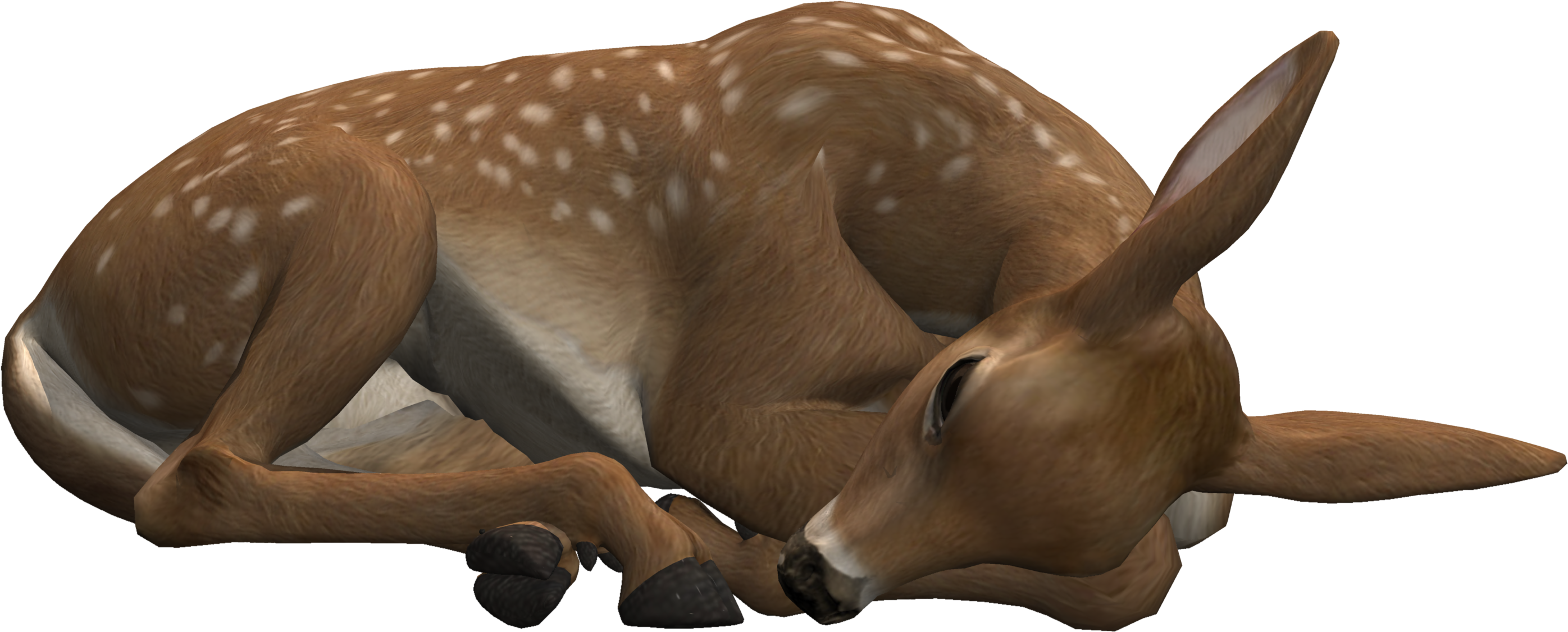 A Deer Lying Down On The Ground