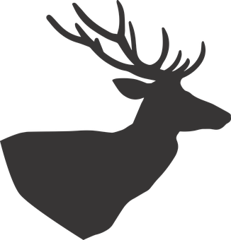 A Silhouette Of A Deer