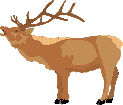 A Brown Elk With Antlers