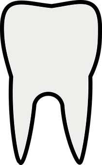 A White Tooth With Black Background