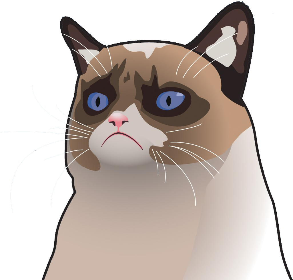 Drawing Of Grumpy Cat Meme