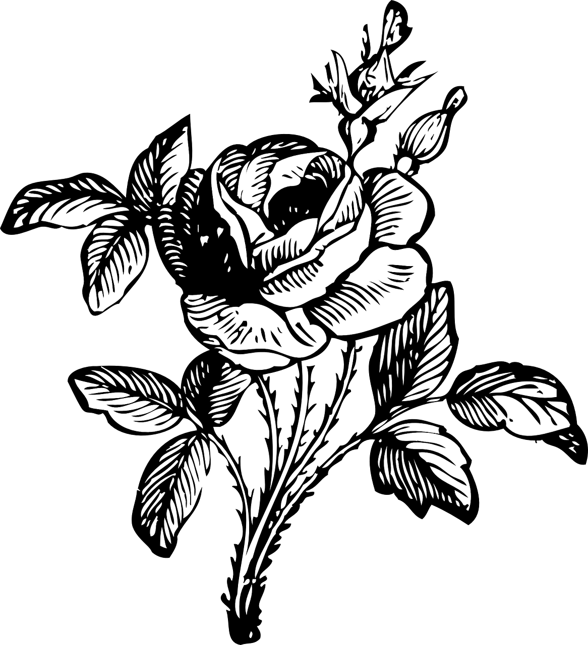 A Black And White Drawing Of A Rose