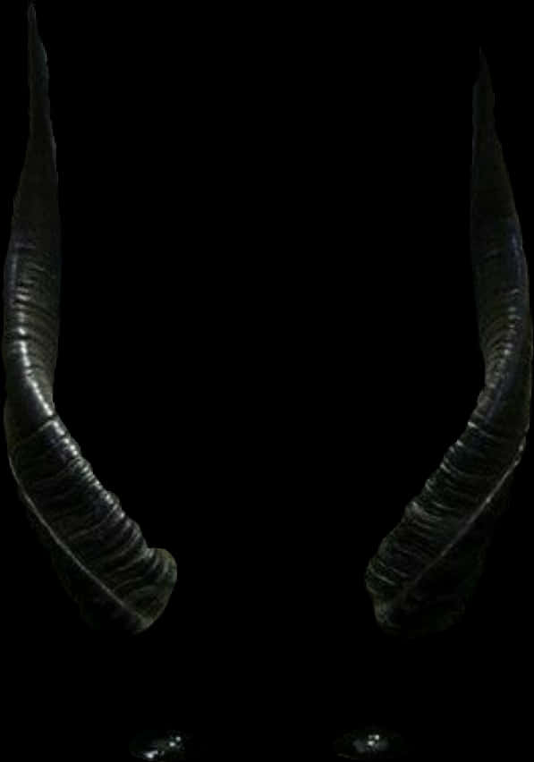 Horns Of A Ram's Horn On A Black Background