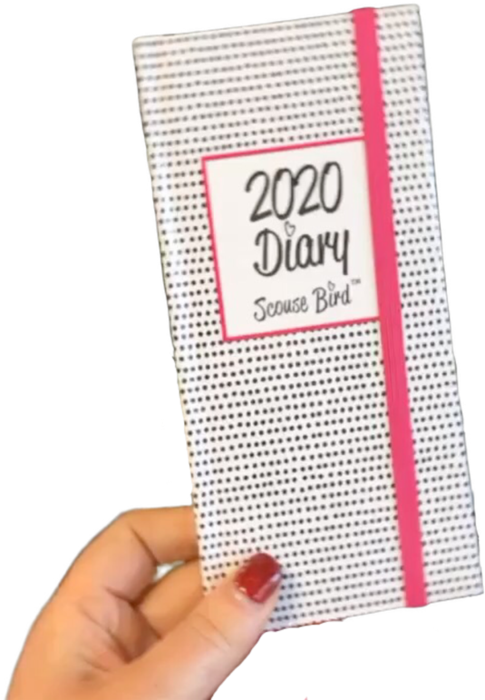 A Hand Holding A White And Pink Dotted Notebook
