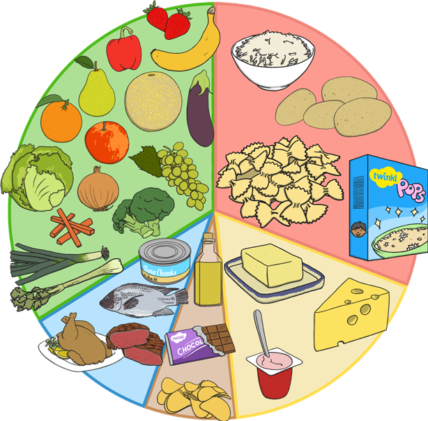 A Colorful Circle With Food Items